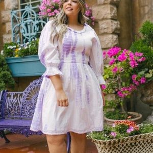 NWOT Ivy city co dress